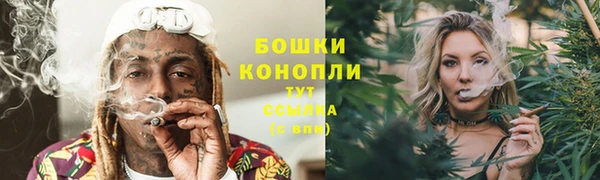 молекула духа Кодинск