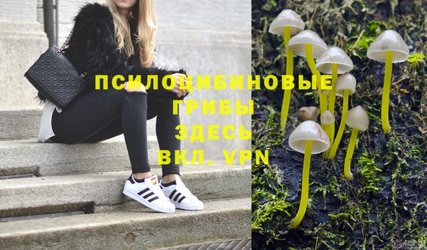 альфа пвп Корсаков