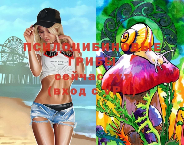 молекула духа Кодинск