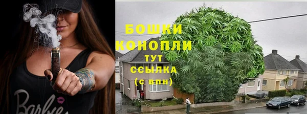 молекула духа Кодинск